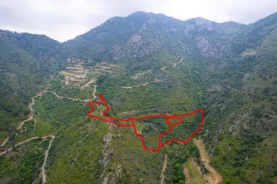 Сельхоз земля - 18298, photo 1