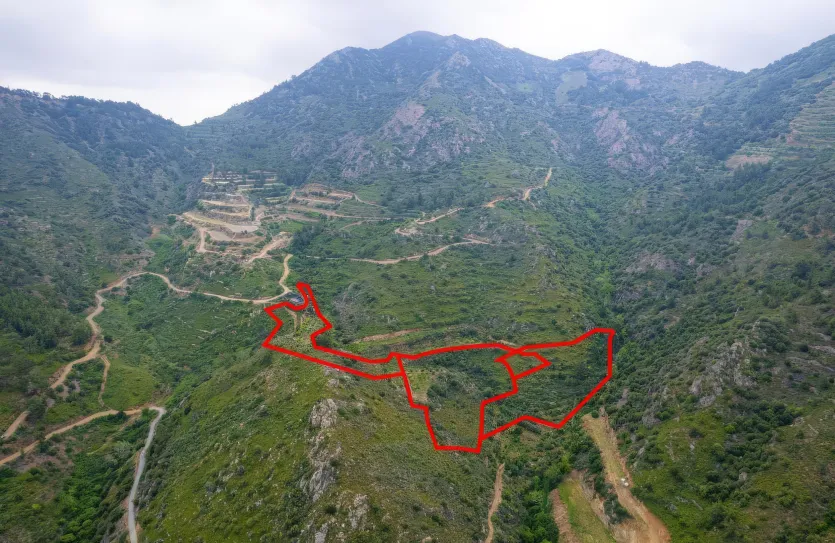 Сельхоз земля - 18298, photo 2