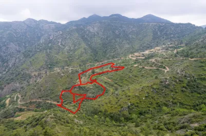 Сельхоз земля - 18298, photo 2