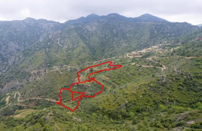 Сельхоз земля - 18298, photo 3