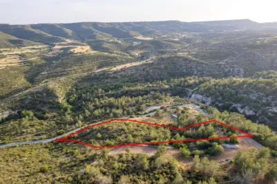 Сельхоз земля - 18299, photo 1