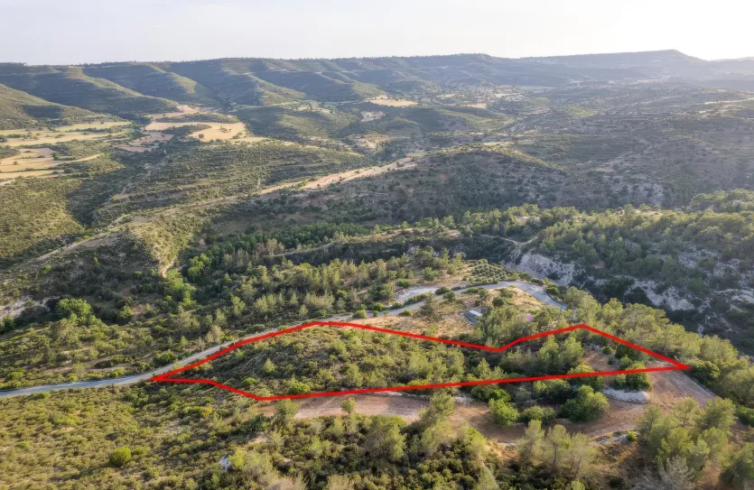 Сельхоз земля - 18299, photo 2