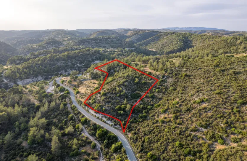 Сельхоз земля - 18299, photo 4