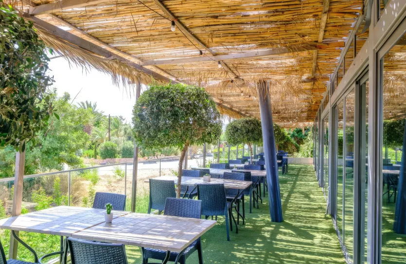 1-bedroom apartment - 18312, photo 12