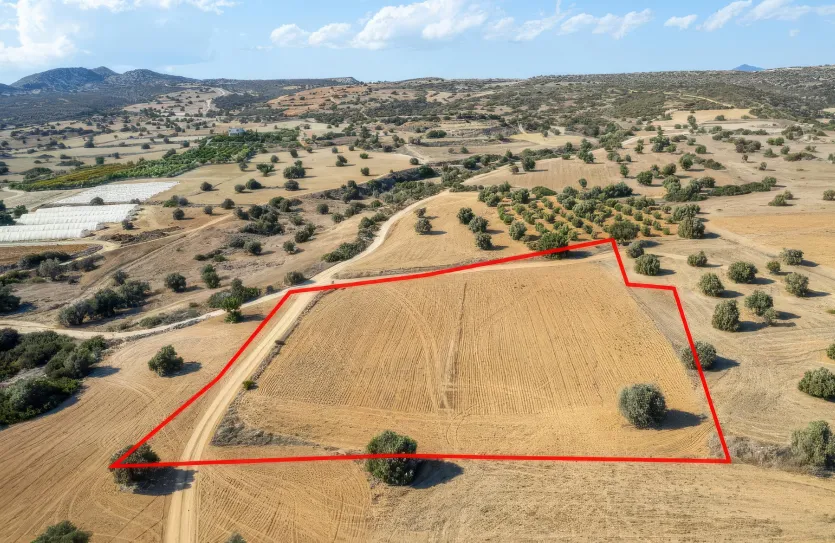 Земельный участок - 18375, photo 4