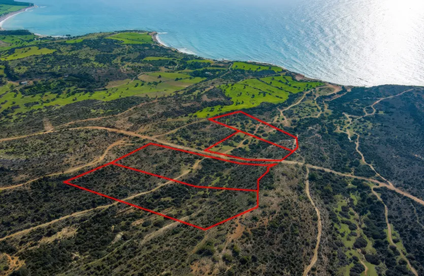 Land - 18379, photo 3