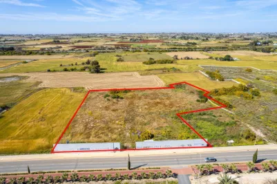 Land - 18383, photo 1