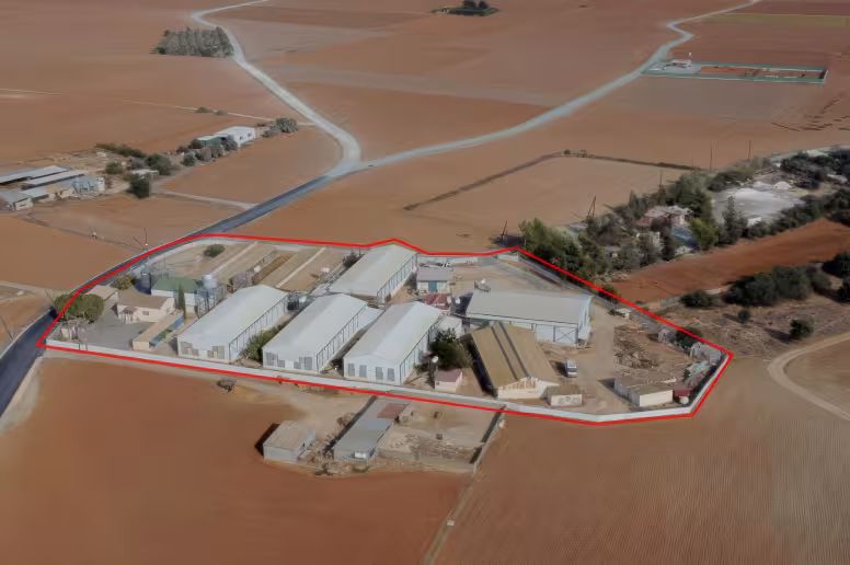 Poultry farm in Larnaca, Xylotymbou