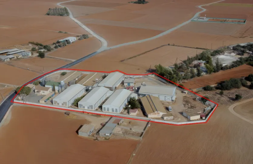 Птицеферма продажа - 18386