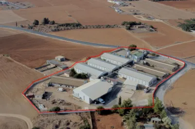 Птицеферма - 18386, photo 2