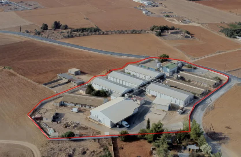 Птицеферма - 18386, photo 3