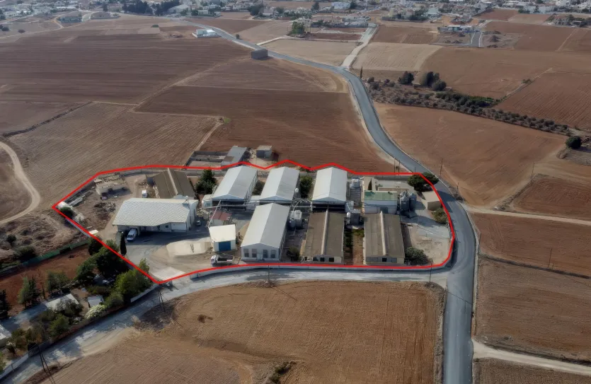 Птицеферма - 18386, photo 4