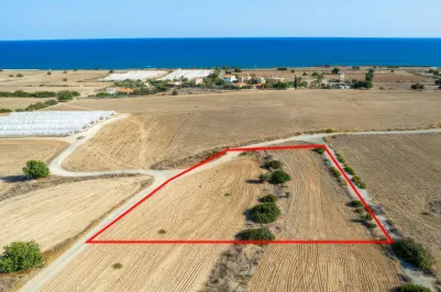 Земельный участок - 18384, photo 1