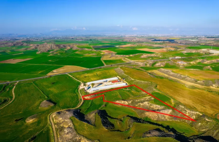 Agricultural land for sale - 18479