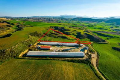 Agricultural land - 18479, photo 2