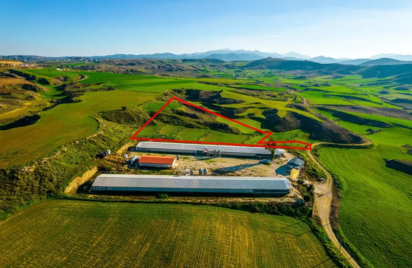 Agricultural land - 18479, photo 3