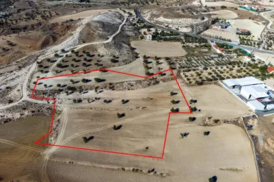 Сельхоз земля - 18480, photo 2