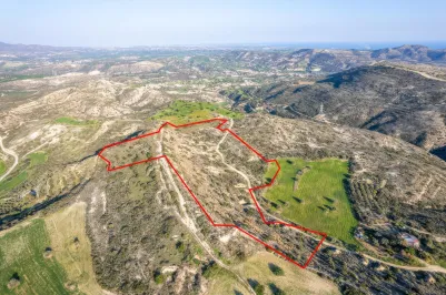 Agricultural land - 18484, photo 2