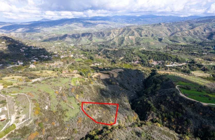 Сельхоз земля продажа - 18485