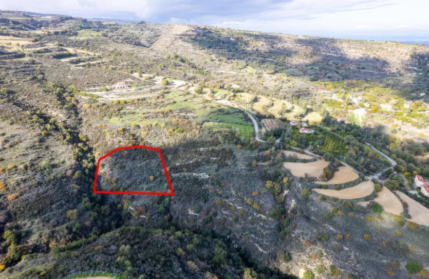 Сельхоз земля - 18485, photo 2