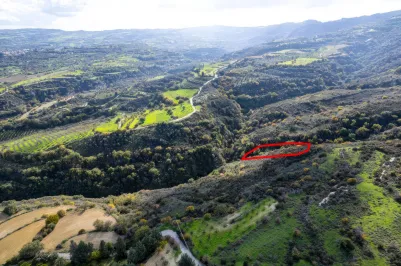 Сельхоз земля - 18485, photo 2