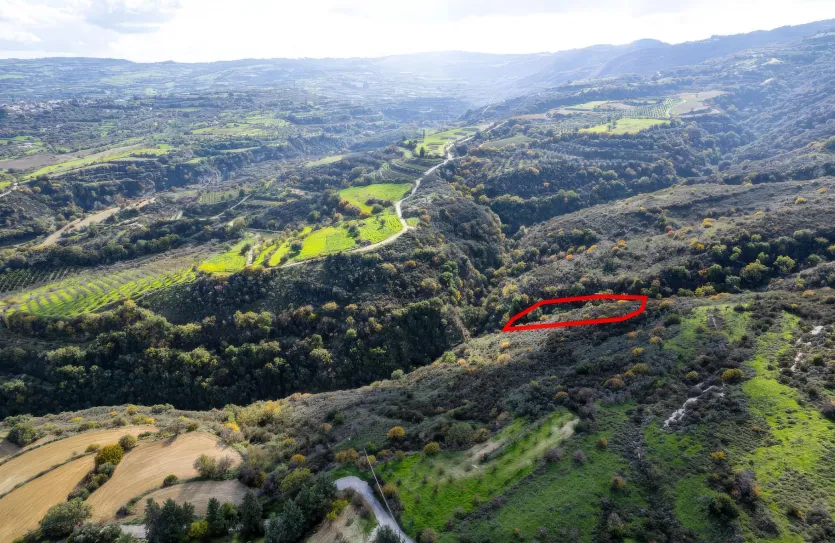 Сельхоз земля - 18485, photo 3