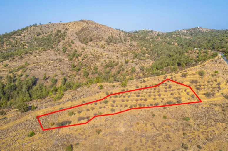 Сельхоз земля в Агия Марина Ксилиату, Никосия