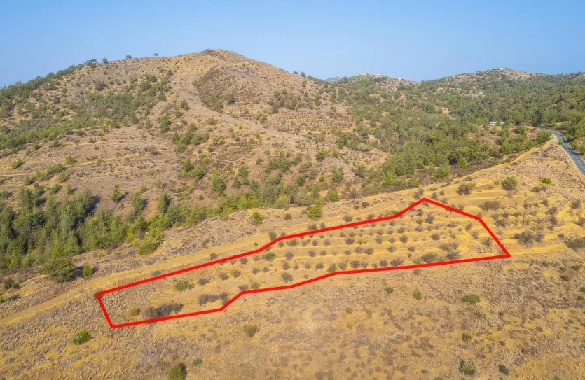 Agricultural land for sale - 18487