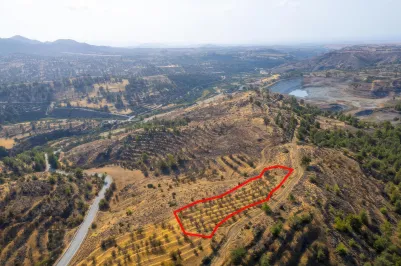 Agricultural land - 18487, photo 1