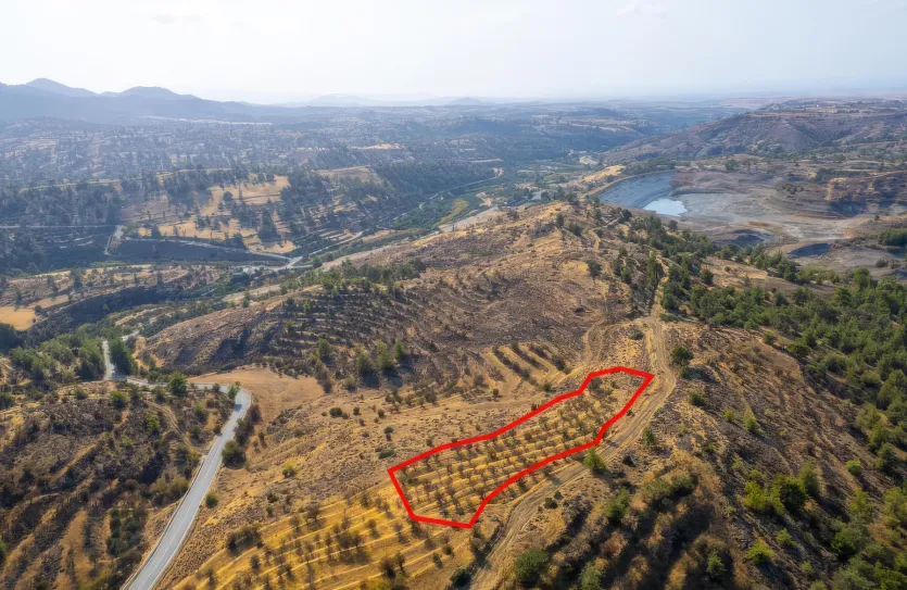 Agricultural land - 18487, photo 2