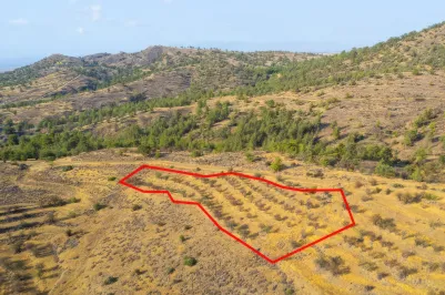 Agricultural land - 18487, photo 2