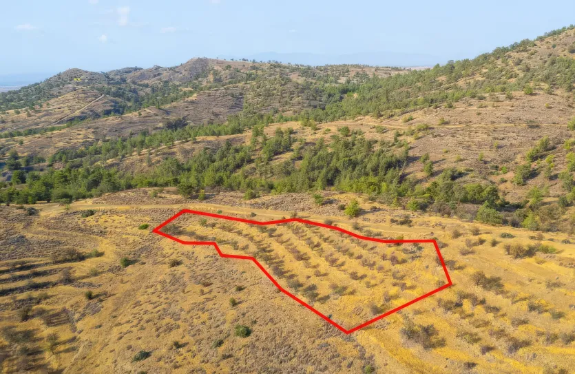 Agricultural land - 18487, photo 3