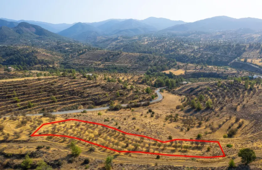 Agricultural land - 18487, photo 4