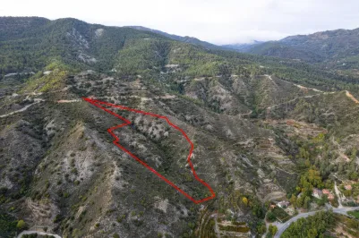 Agricultural land - 18486, photo 1