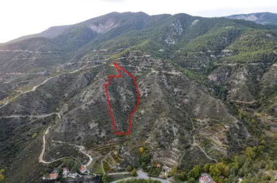 Agricultural land - 18486, photo 2