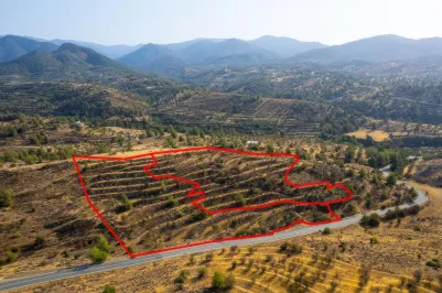 Agricultural land - 18488, photo 1