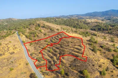 Agricultural land - 18488, photo 2