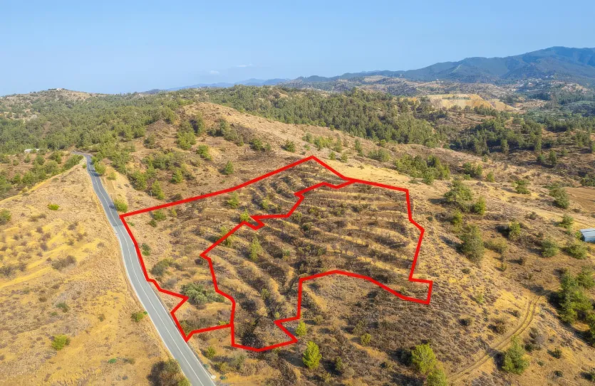 Agricultural land - 18488, photo 3