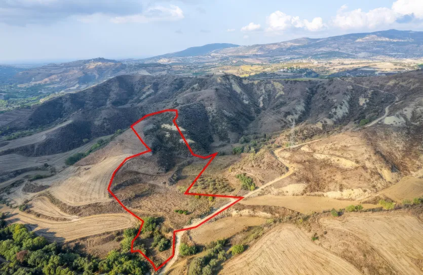 Сельхоз земля продажа - 18493