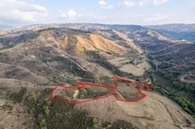 Сельхоз земля - 18493, photo 1