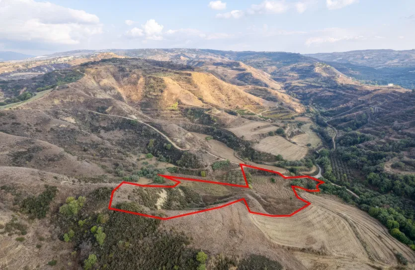 Сельхоз земля - 18493, photo 2