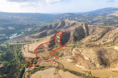 Сельхоз земля - 18493, photo 2