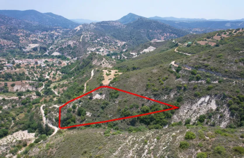 Сельхоз земля продажа - 18489