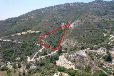 Сельхоз земля - 18489, photo 1