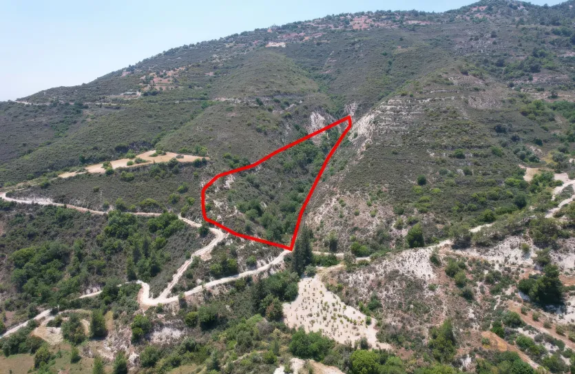 Сельхоз земля - 18489, photo 2