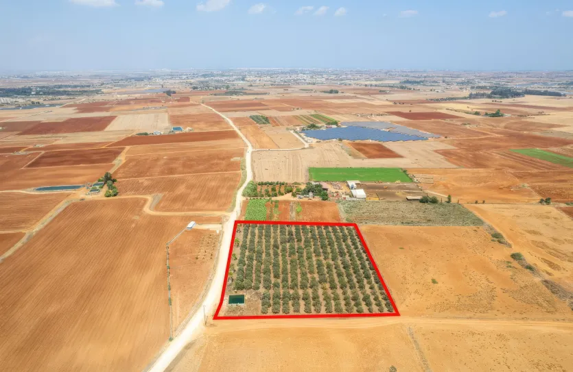 Сельхоз земля - 18492, photo 2