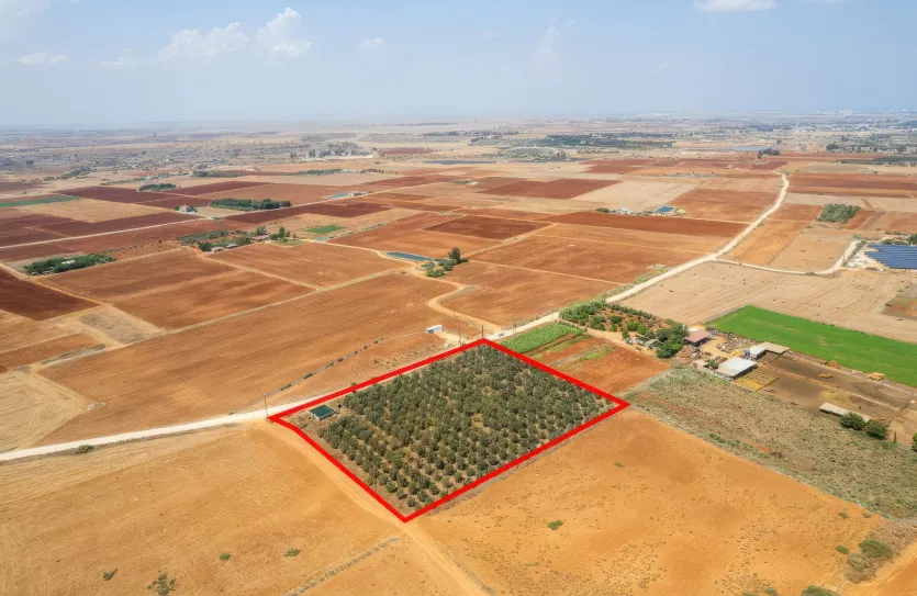 Сельхоз земля - 18492, photo 3