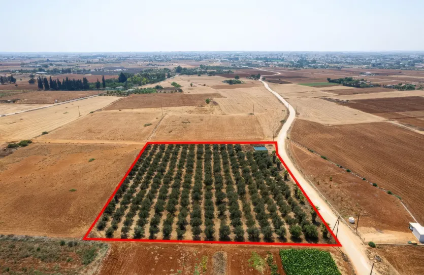 Сельхоз земля - 18492, photo 4