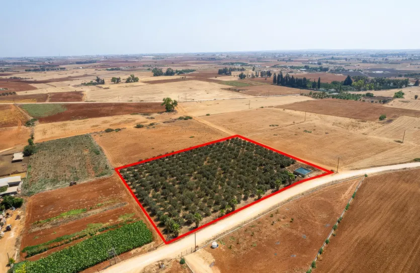 Сельхоз земля - 18492, photo 5