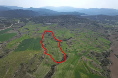 Agricultural land - 18491, photo 1